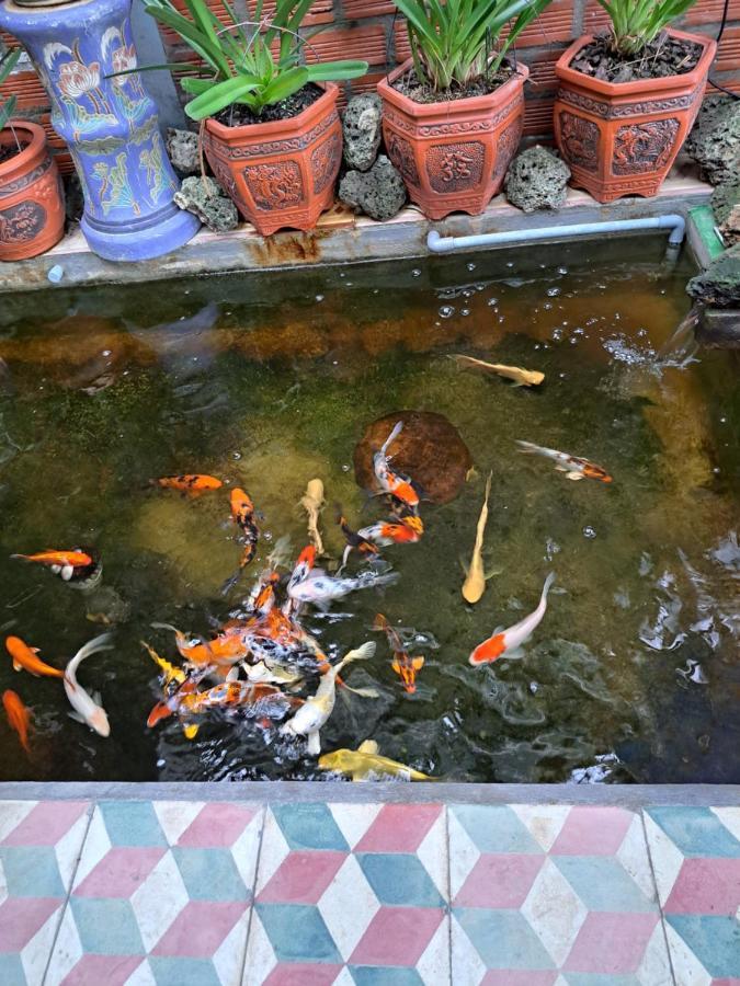 Hoa Lan Motel & Homestay Giong Tu Dien Bagian luar foto